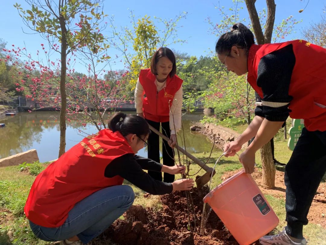 1648102900108044542.jpg 3.jpg